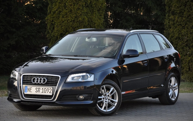 Audi A3 cena 31999 przebieg: 224000, rok produkcji 2010 z Bolków małe 667